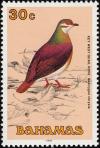 Colnect-576-823-Key-West-Quail-dove-Geotrygon-chrysia.jpg