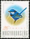 Colnect-5935-615-Splendid-Fairywren-Malurus-splendens.jpg