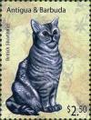 Colnect-5942-765-British-Shorthair-Cat-Felis-silvestris-catus.jpg