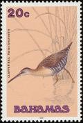 Colnect-576-821-Clapper-Rail-Rallus-longirostris-.jpg