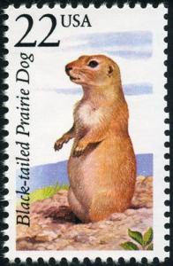 Colnect-5091-119-Black-tailed-Prairie-Dog-Cynomys-ludovicianus.jpg