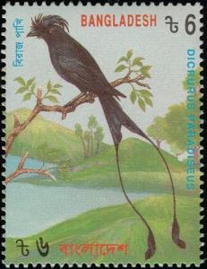 Colnect-1421-748-Greater-Racket-tailed-Drongo-Dicrurus-paradiseus.jpg