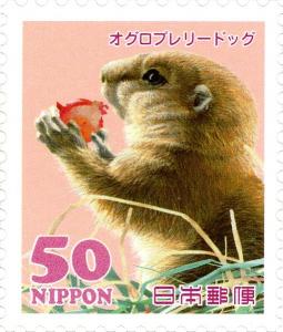 Colnect-3049-137-Black-tailed-Prairie-Dog-Cynomys-ludovicianus.jpg