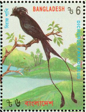 Colnect-1421-752-Greater-Racket-tailed-Drongo-Dicrurus-paradiseus.jpg