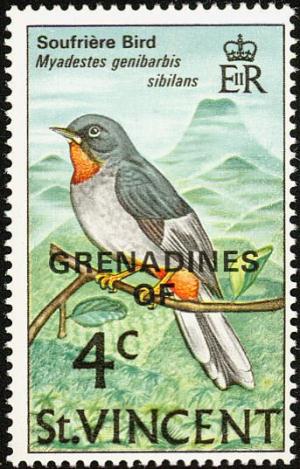 Colnect-1753-943-Rufous-throated-Solitaire%C2%A0Myadestes-genibarbis-genibarbis.jpg