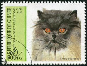 Colnect-3726-997-Smoke-Long-haired-Felis-silvestris-catus.jpg