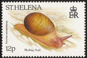 Colnect-4468-882-Blushing-Snail-Succinea-sanctaehelenae.jpg