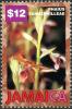 Colnect-5269-757-Phaius-tankervilleae.jpg