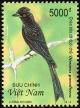 Colnect-1613-103-Greater-Racket-tailed-Drongo-Dicrurus-paradiseus.jpg