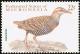 Colnect-1620-563-Buff-banded-Rail-Gallirallus-philippensis.jpg