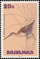 Colnect-576-821-Clapper-Rail-Rallus-longirostris-.jpg