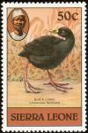 Colnect-2274-027-Black-Crake-Zapornia-flavirostra.jpg