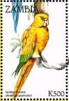 Colnect-3507-598-Golden-Parakeet%C2%A0-%C2%A0Guaruba-guarouba.jpg