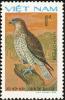 Colnect-1613-197-Short-toed-Snake-Eagle-Circaetus-gallicus.jpg