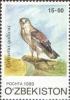 Colnect-808-330-Short-toed-Snake-eagle-Circaetus-gallicus.jpg