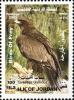 Colnect-1646-660-Short-toed-Snake-Eagle-Circaetus-gallicus.jpg