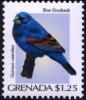 Colnect-4178-508-Blue-Grosbeak-Passerina-nbsp-caerulea.jpg