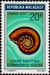 Colnect-1009-485-Sagittal-cut-ammonite-fossil.jpg