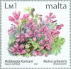 Colnect-131-493-Malva-sylvestris.jpg