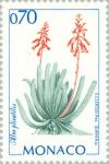 Colnect-149-729-Aloe-plicatilis.jpg