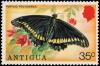 Colnect-2361-776-Polydamas-Swallowtail-Papilio-polydamas.jpg