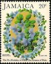 Colnect-2700-368-Lignum-vitae---National-Flower-overprinted-ROYAL-BABY-2168.jpg