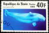 Colnect-2759-922-Beluga-Whale-Delphinapterus-leucas.jpg