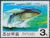 Colnect-3102-471-Humpback-Whale-Megaptera-novaeangliae.jpg