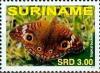 Colnect-3488-003-Tropical-Buckeye-Junonia-sp.jpg