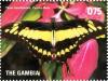 Colnect-3524-992-King-Swallowtail-Papilio-thoas.jpg