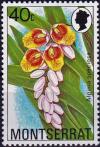 Colnect-3924-353-Alpinia-speciosa.jpg