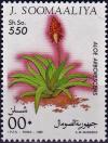 Colnect-4302-386-Aloe-arborescens.jpg