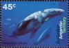 Colnect-4715-052-Humpback-Whale-Megaptera-novaeangliae.jpg