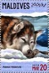 Colnect-4940-108-Alaskan-Malamute.jpg