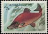 Colnect-5064-564-Sockeye-Salmon-Oncorhynchus-nerka.jpg