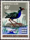 Colnect-547-305-Allen--s-Gallinule-Porphyrio-alleni.jpg