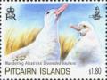 Colnect-2398-608-Wandering-Albatross-Diomedea-exulans.jpg