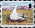 Colnect-3484-522-Wandering-Albatros-Diomedea-exulans.jpg