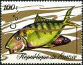 Colnect-3726-973-Golden-Trevally-Gnathanodon-speciosus.jpg