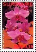 Colnect-3981-625-Phalaenopsis-hybrid.jpg