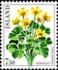 Colnect-417-197-Caltha-palustris.jpg