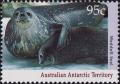 Colnect-4714-583-Weddell-Seal-Leptonychetes-weddelli.jpg