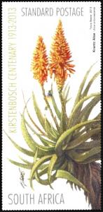 Colnect-2287-501-Kantz-Aloe-Aloe-arborescens.jpg