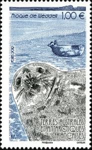 Colnect-5154-316-Weddell-Seal-Leptonychetes-weddelli.jpg