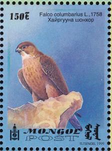 Colnect-1271-360-Barbary-Falcon-Falco-pelegrinoides.jpg