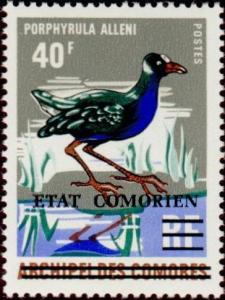 Colnect-547-305-Allen--s-Gallinule-Porphyrio-alleni.jpg