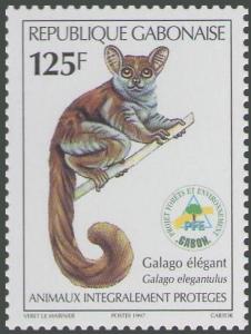 Colnect-4729-023-Galago-elegantulus.jpg