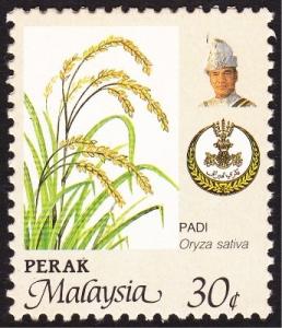 Colnect-3283-844-Agricultural-Products--Oryza-sativa.jpg