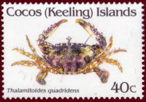 Colnect-1292-532-Crab-Thalamitoides-quadridens.jpg