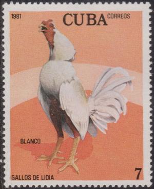 Colnect-1409-907-Blanco-Gallus-gallus-domesticus.jpg